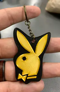 Playboy Logo