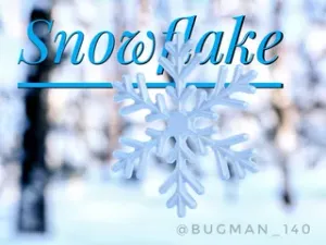 Snowflake