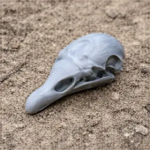 Cathartesaura Skull