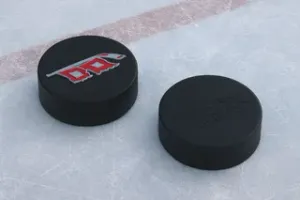 Carolina Hurricanes NHL Hockey Puck Alternate Logo