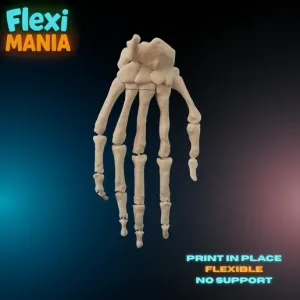 Flexi Human Hand Skeleton | Articulated Bone Hand for 3D Printing