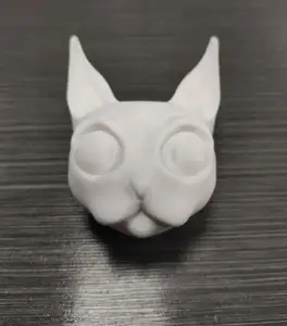 Cat head