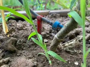 Micro drip irrigation support for ø4 mm irrigation hose
