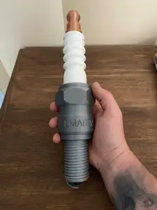 spark plug (bougie )