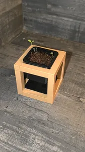 pot de fleurs
