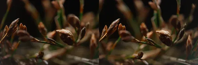Stereoscopic 3D macro lens (2x magnification) for Sony FE cameras — Image 9 of 11
