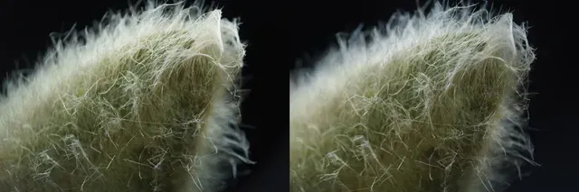 Stereoscopic 3D macro lens (2x magnification) for Sony FE cameras — Image 11 of 11