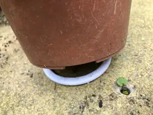 Parametric plant pot stand