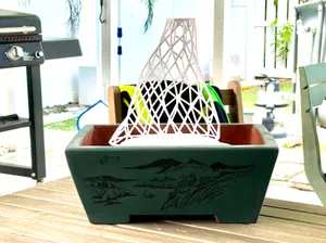 Bonsai Fusion Support - Fusion Fat Bonsai Technique - Formal and Informal Categories
