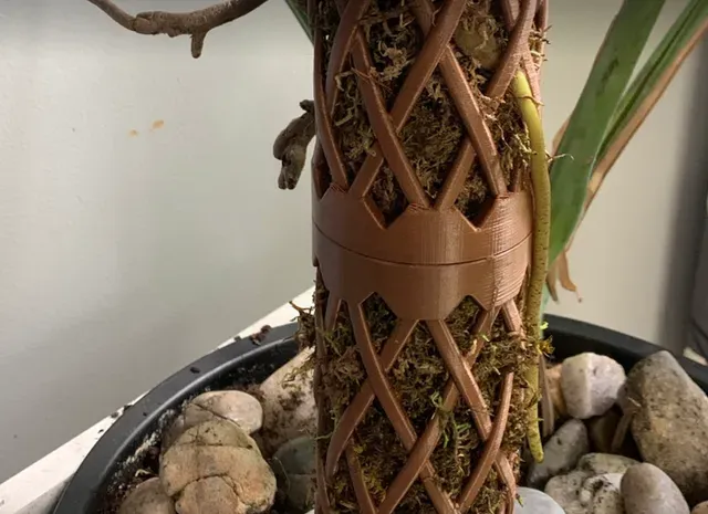 Monstera Moss Pole - MossyHydrator — Image 3 of 19