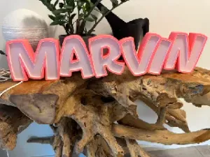 MARVIN LED- Namenslampe (Name lamp)