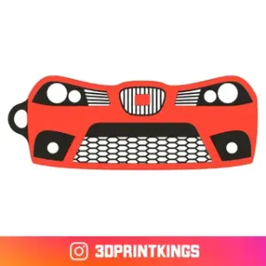 Seat Ibiza (6L)