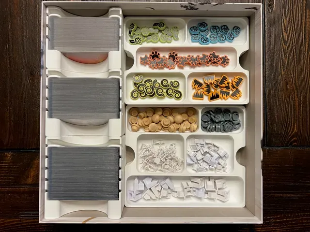 Spirit Island Insert / Organizer - Holds All Expansions Through Nature Incarnate — Фото 7 из 35