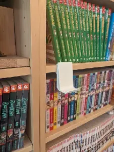 Ikea Billy Book Display Holder