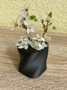 flowerpot —> PARAMETRIC
