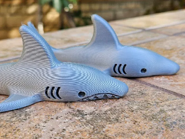 Shark — Фото 3 из 6