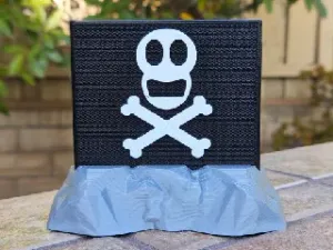 Pirate Flag