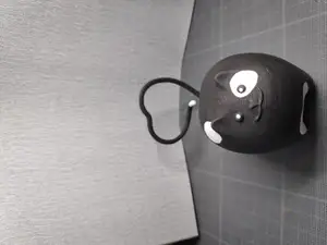 Cute round cat