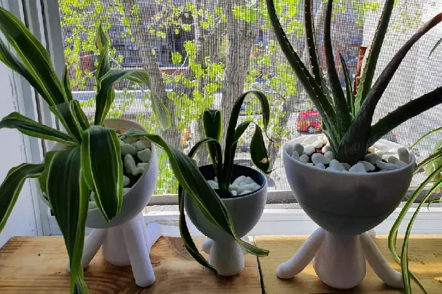 Hydroponic, Self-Watering, Seeds starter, Robert Planters — Фото 8 из 12