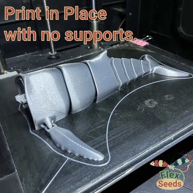 Flexi Humpback Whale - New Type(print-in-place) — Image 8 of 18