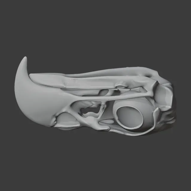 Eagle Skull — Фото 3 из 8