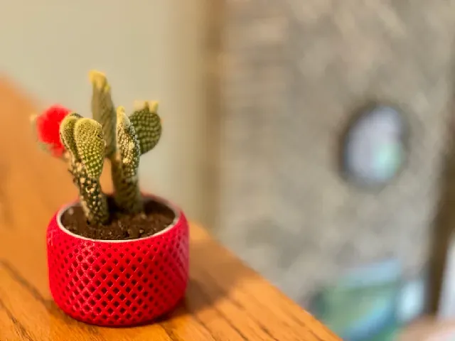 Helical Self Watering Planters — Image 2 of 6