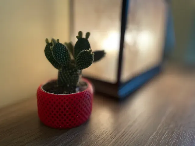 Helical Self Watering Planters — Image 4 of 6