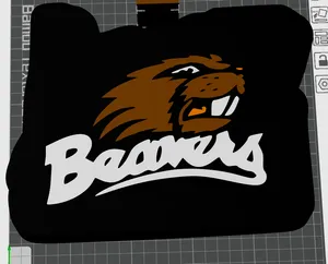 OSU Light Box