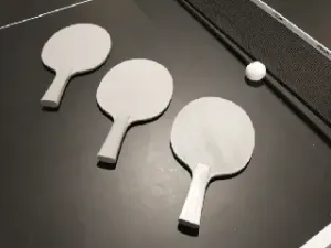 Ping Pong Paddle