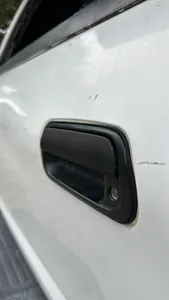 Tundra Tailgate Handle