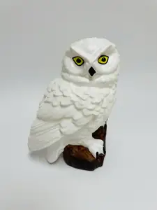 Snowy Owl (Hedwig) with flat bottom