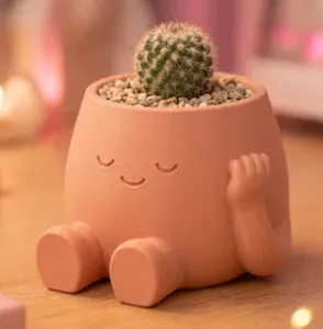 ZenBuddy Planter - Cute Desk Decor