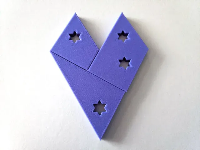 Symm-Aster Puzzle — Image 3 of 4