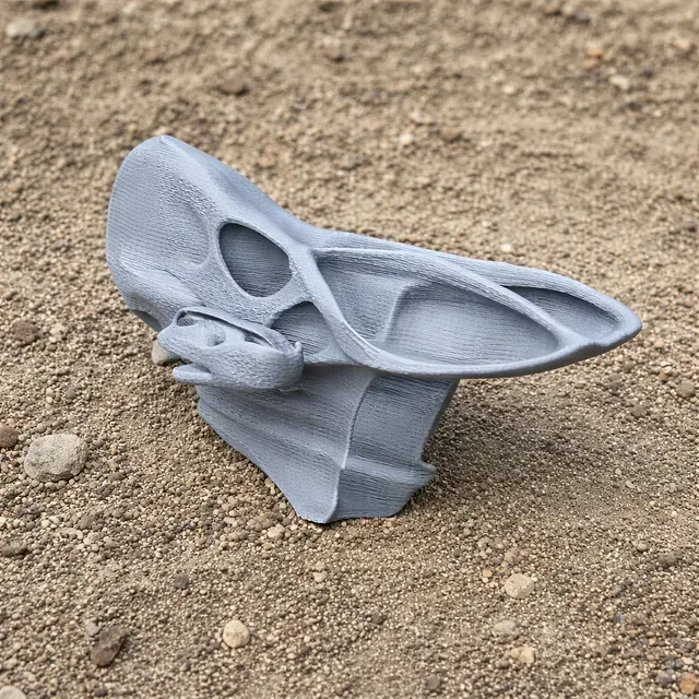 Bagaceratops Skull