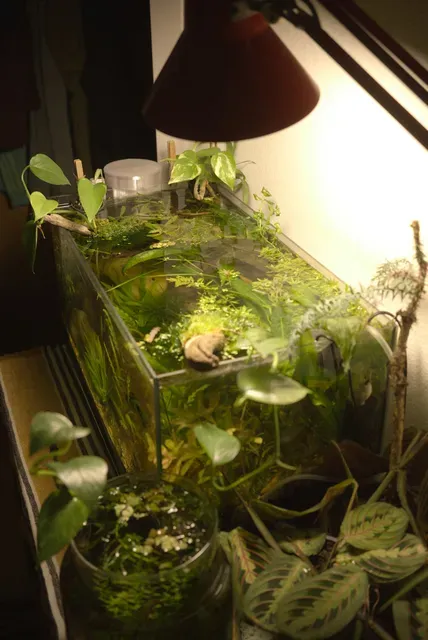 Fish feeder — Image 3 of 6