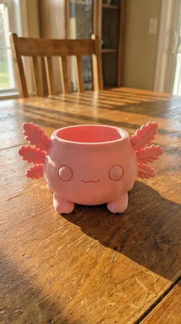 Cute Axolotl Planter Holder – Kawaii Desk Pot / Coaster — Фото 3 из 3