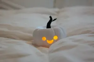 The Silliest Halloween Pumpkin / Jack O'Lantern