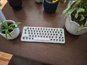 65-key Handwired keyboard - ANSI