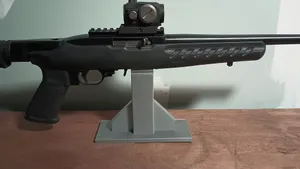 Ruger 1022 stand