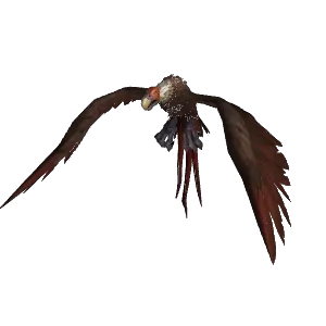 Druid Bird World Of Warcraft