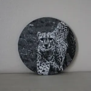 Hueforge- Cheetah