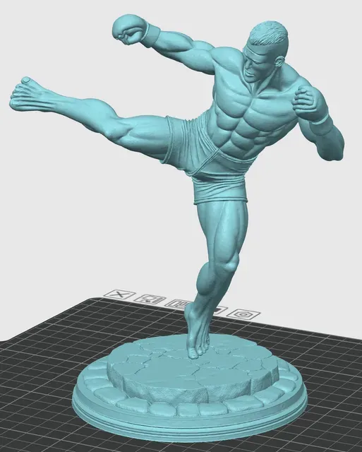 Kickboxer fighter