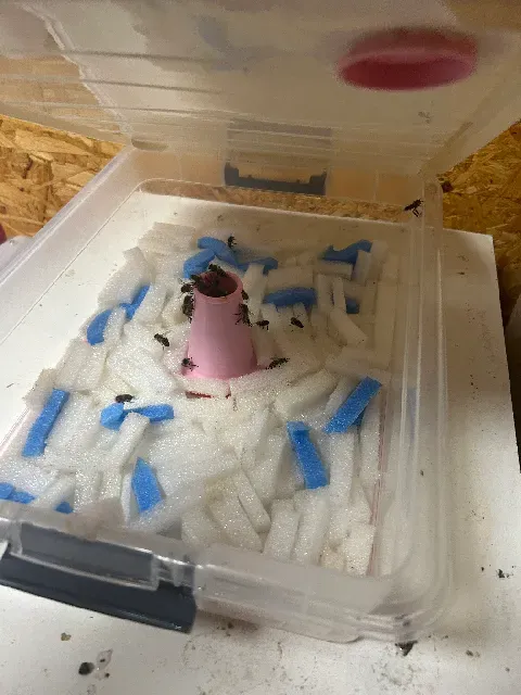 Hive top feeder DIY set - sada pro Jakubovské krmítko — Фото 4 из 6