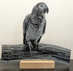 HueForge - Grey Parrot