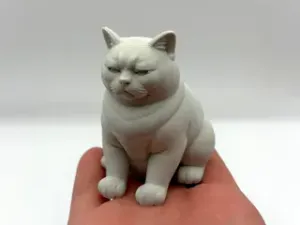 Not Amused Cat