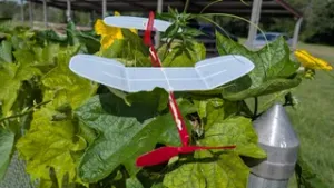 Clipper : Rubber powered Free flight model