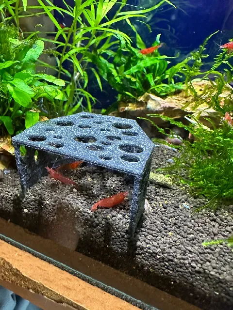 Aquarium shrimp, small fish cave, home, house, shelter