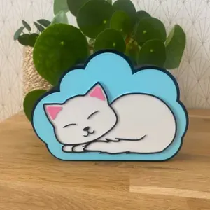Box cat