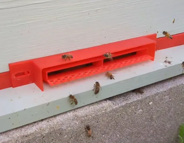Sentinel Honey Bee Entrance Reducer (anti small hive beetle)