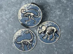 Dinosaur Fossil Coasters